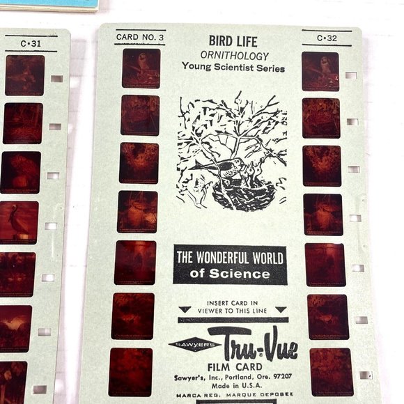 Tru-Vue Film Cards Set of 3 Stereoview Bird Life Ornithology Young Scientist VTG - Picture 6 of 8